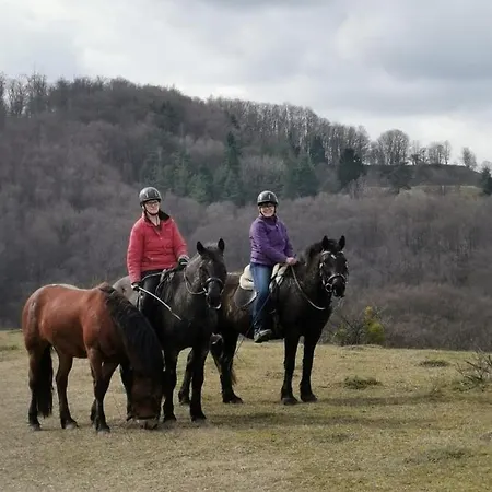 Reitstation Rossmuehle *