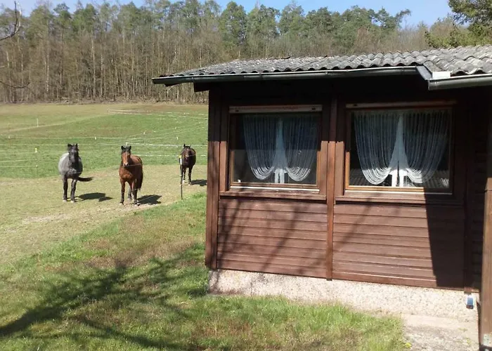 Διαμέρισμα Reitstation Rossmuehle Gräfendorf