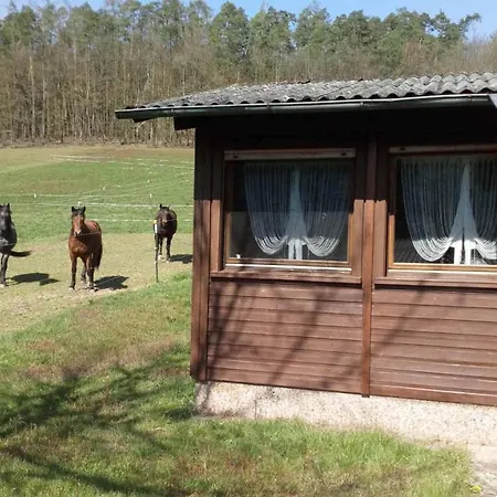 Lejlighed Reitstation Rossmuehle Gräfendorf